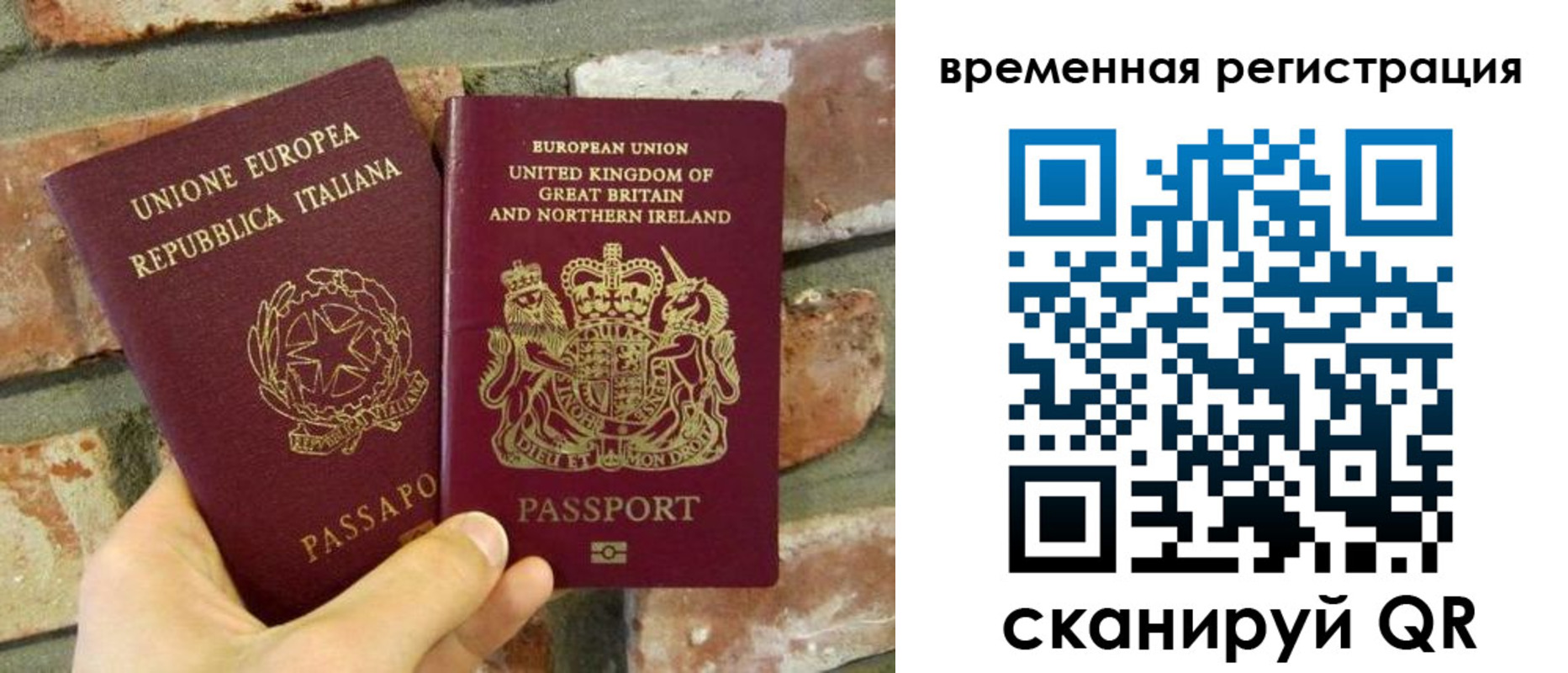 прописка для школы в Мурино